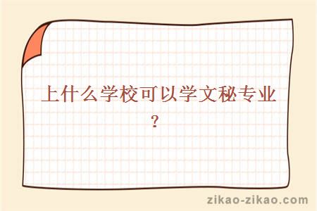 上什么学校可以学文秘专业？