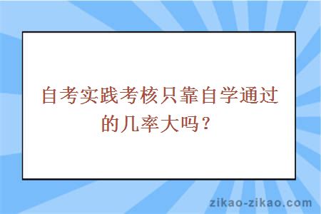 自考实践考核只靠自学通过的几率大吗？