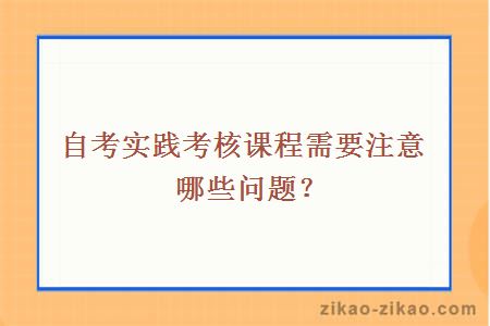 自考实践考核课程需要注意哪些问题？