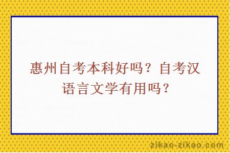 惠州自考本科好吗？自考汉语言文学有用吗？