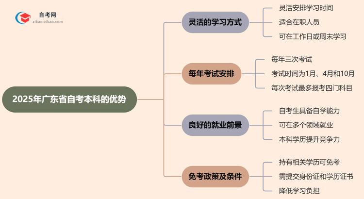 2025年读广东省的自考本科有哪些优势？思维导图