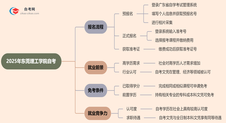 2025年东莞理工学院自考要怎么报名？流程是什么？思维导图