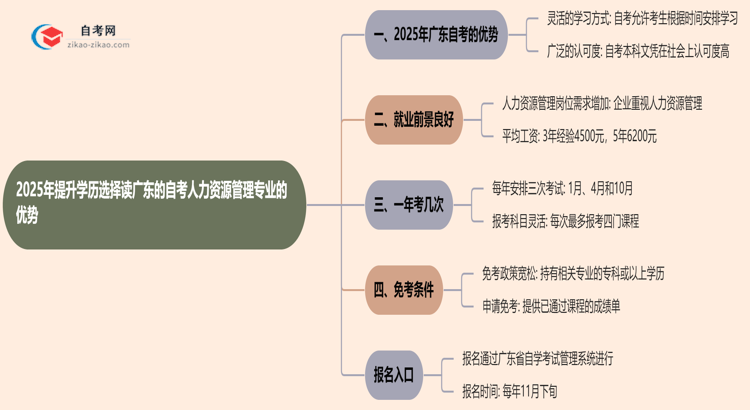 2025年提升学历选择读广东的自考人力资源管理专业有哪些优势？思维导图