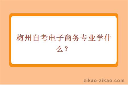 梅州自考电子商务专业学什么？