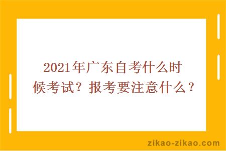 2021年广东自考什么时候考试？报考要注意什么？