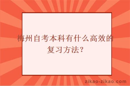 梅州自考本科有什么高效的复习方法？