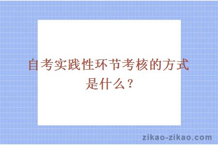 自考实践性环节考核的方式是什么？