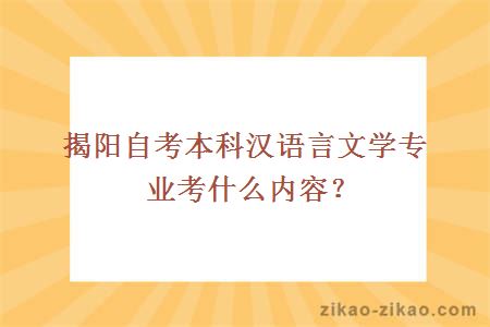 揭阳自考本科汉语言文学专业考什么内容？