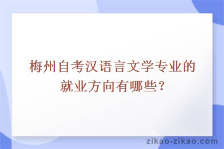 梅州自考汉语言文学专业的就业方向有哪些？