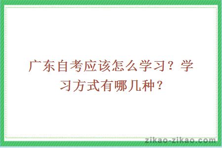 广东自考应该怎么学习？学习方式有哪几种？