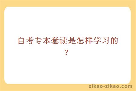 自考专本套读是怎样学习的？