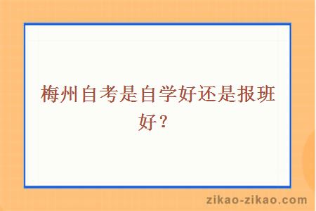 梅州自考是自学好还是报班好？