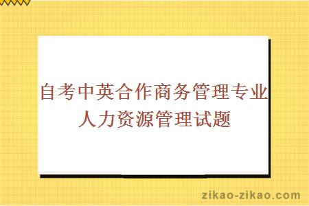 自考中英合作商务管理专业人力资源管理试题