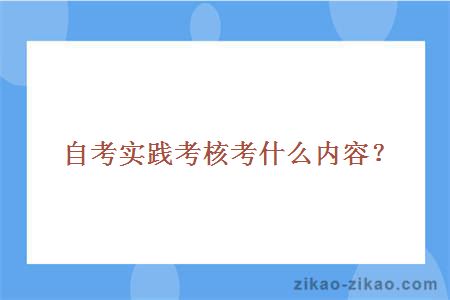 自考实践考核考什么内容？