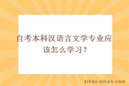 自考本科汉语言文学专业应该怎么学习？