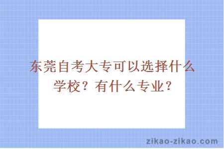 东莞自考大专可以选择什么学校？有什么专业？