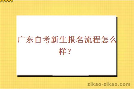 广东自考新生报名流程怎么样？