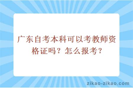 广东自考本科可以考教师资格证吗？怎么报考？