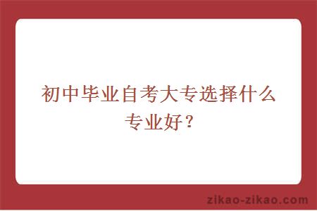 初中毕业自考大专选择什么专业好？