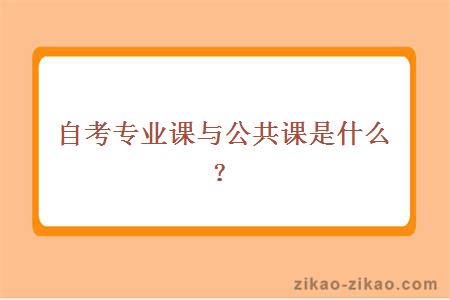 自考专业课与公共课是什么？