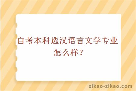 自考本科选汉语言文学专业怎么样？