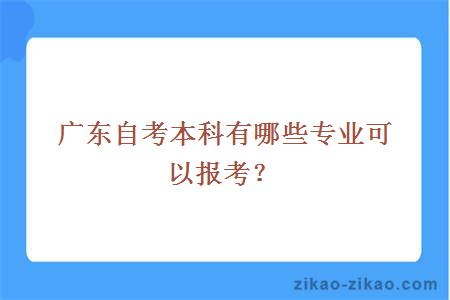 广东自考本科有哪些专业可以报考？