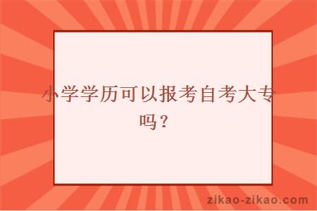 小学学历可以报考自考大专吗？