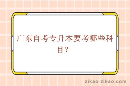 广东自考专升本要考哪些科目？