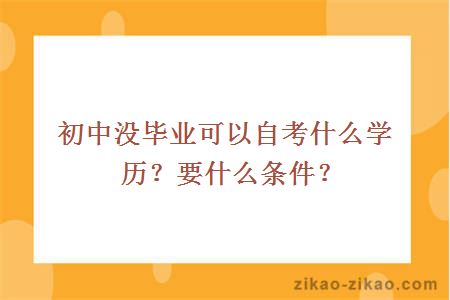 初中没毕业可以自考什么学历？要什么条件？