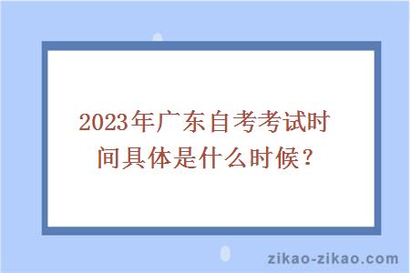 2023年广东自考考试时间具体是什么时候？