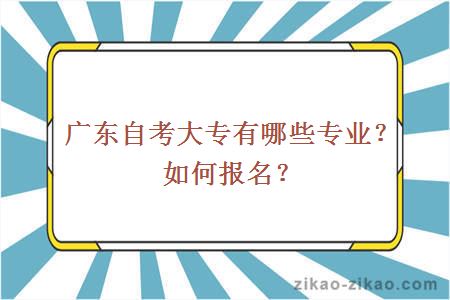 广东自考大专有哪些专业？如何报名？