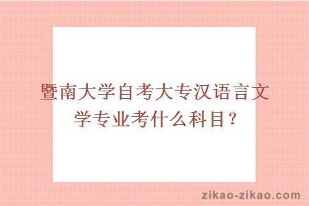 暨南大学自考大专汉语言文学专业考什么科目？