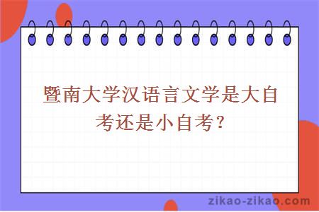 暨南大学汉语言文学是大自考还是小自考？