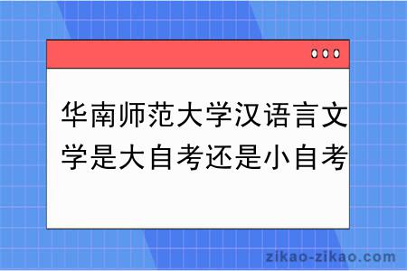 华南师范大学汉语言文学是大自考还是小自考？