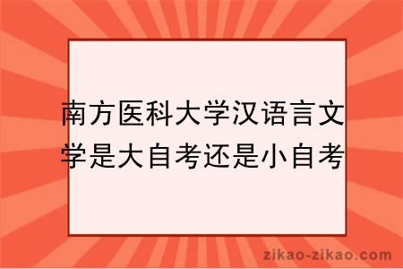 南方医科大学汉语言文学是大自考还是小自考？