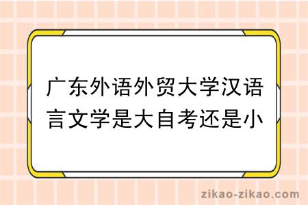 广东外语外贸大学汉语言文学是大自考还是小自考？