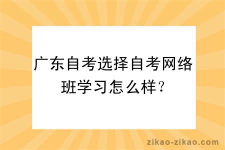 广东自考选择自考网络班学习怎么样？