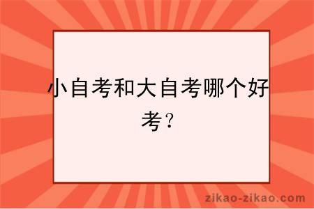 小自考和大自考哪个好考？