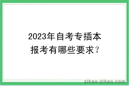 2023年自考专插本报考有哪些要求？