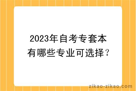 2023年自考专套本有哪些专业可选择？