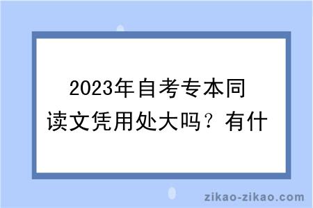 2023年自考专本同读文凭用处大吗？有什么学习方式？