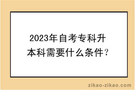 2023年自考专科升本科需要什么条件？