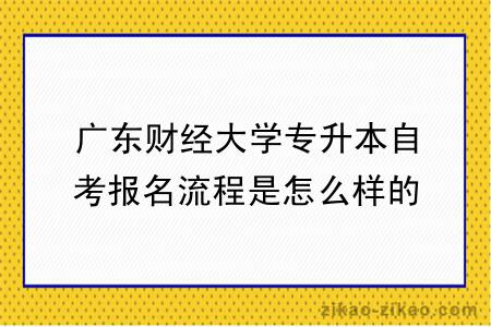 广东财经大学专升本自考报名流程是怎么样的？