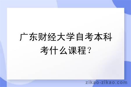 广东财经大学自考本科考什么课程？