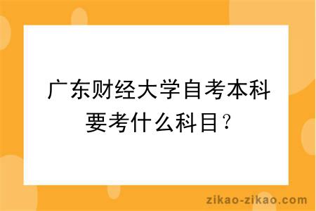 广东财经大学自考本科要考什么科目？