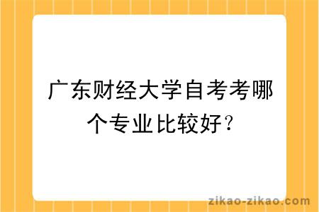 广东财经大学自考考哪个专业比较好？