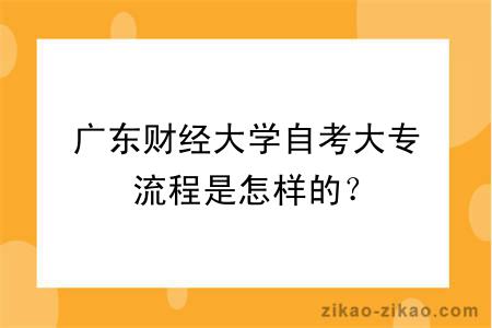 广东财经大学自考大专流程是怎样的？