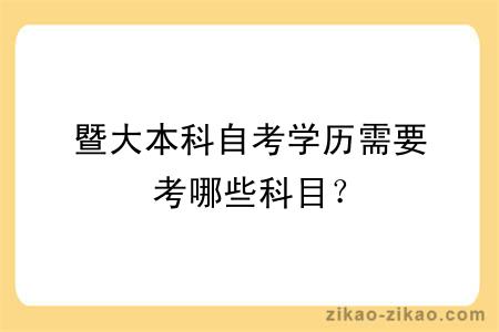 暨大本科自考学历需要考哪些科目？