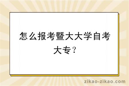 怎么报考暨大大学自考大专？