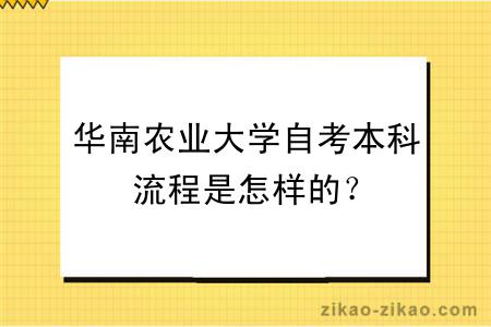 华南农业大学自考本科流程是怎样的？